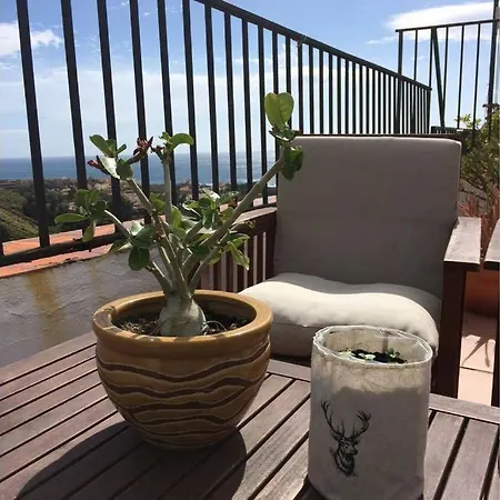 Casa Askanova