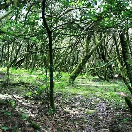 Casa Askanova Σπίτι διακοπών