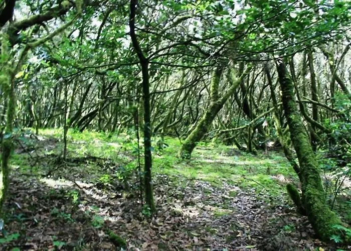 Casa Askanova Prázdninový dům